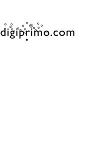 logo "digiprimo.com"